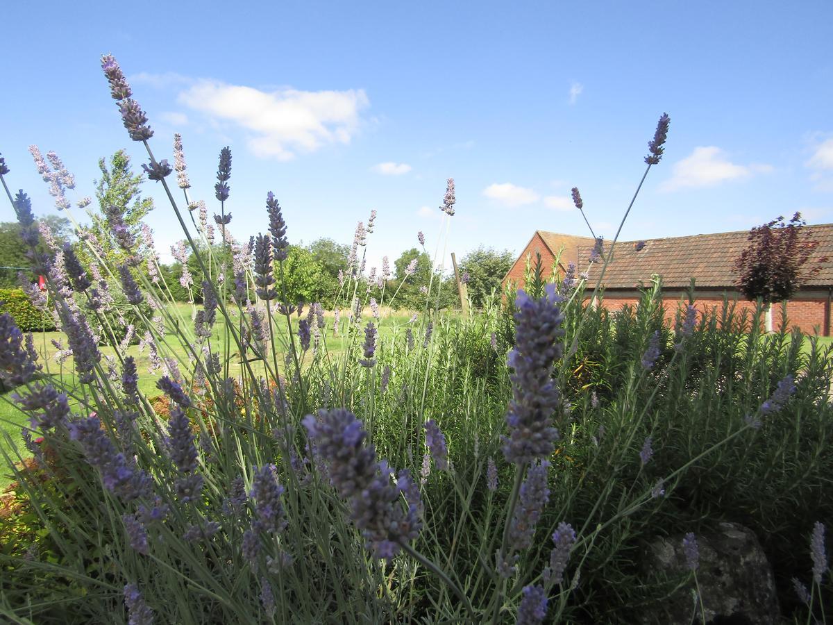 Home Farm Boreham วอร์มินสเตอร์ ภายนอก รูปภาพ